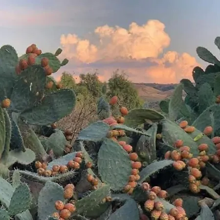 Belli Il Sole 3* Serri