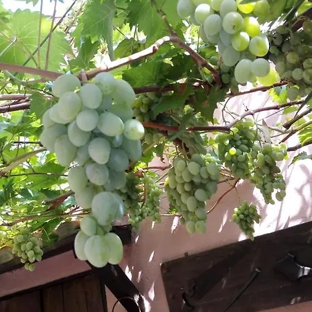 לינה וארוחת בוקר Belli Il Sole *